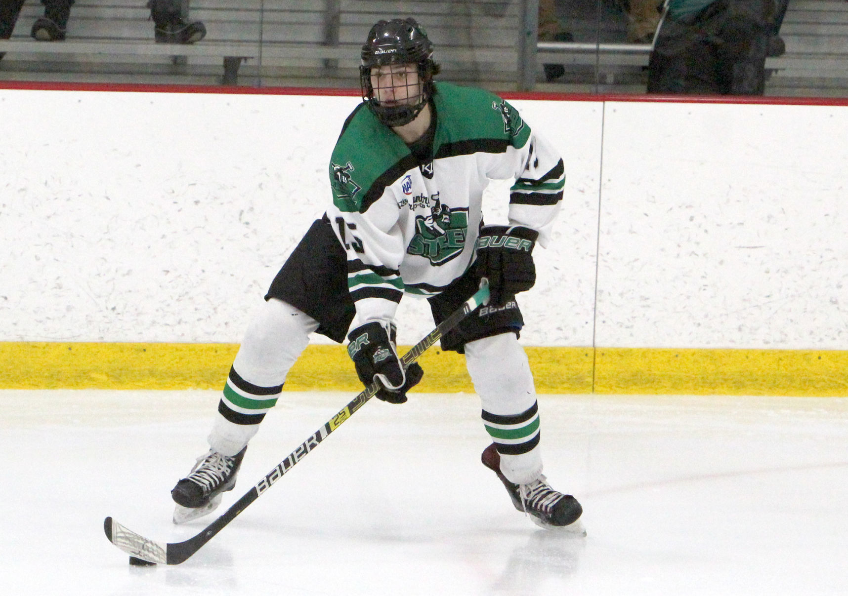 Springfield at Chippewa Steel 11-29-19